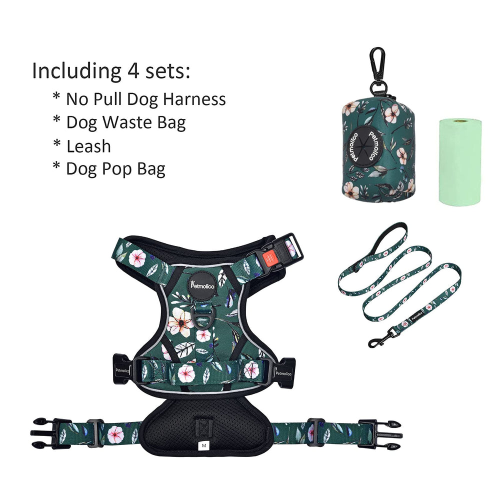 Petmolico adjustable straps close-up showing secure comfortable fit