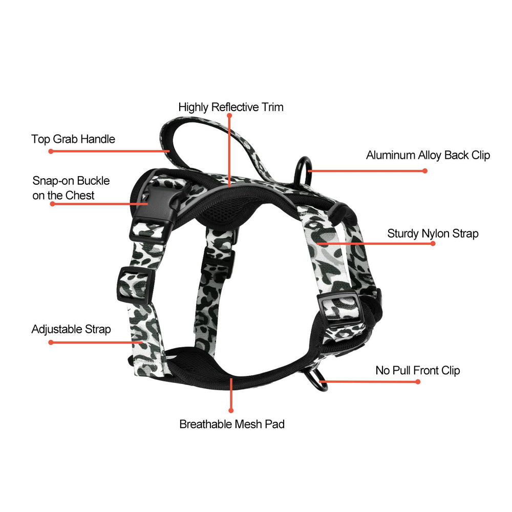 Petmolico dog leash grey leopard 5ft for secure control