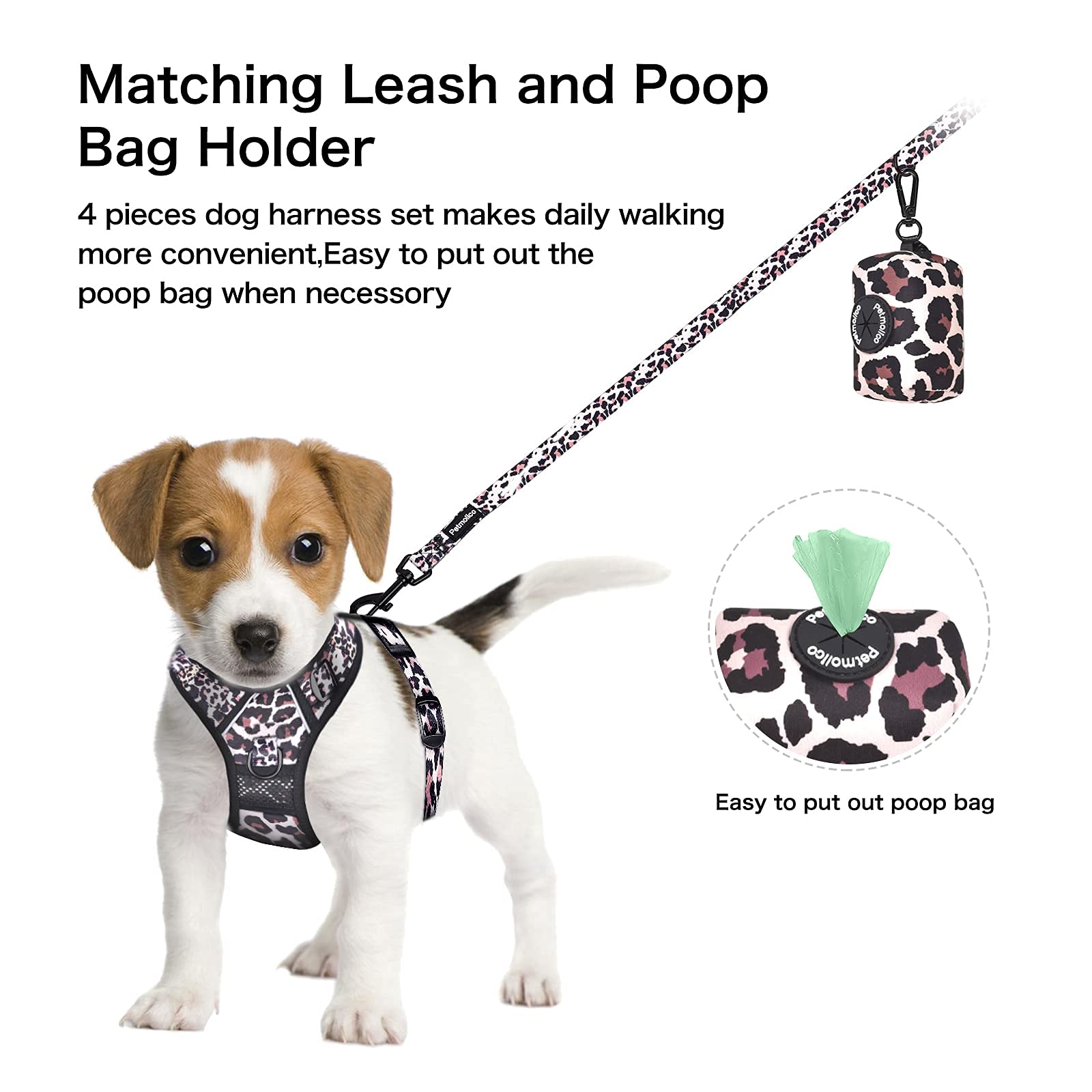 Petmolico leash with rotating clasp and harness – prevent twisting during walks