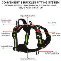 Petmolico no-pull harness back grab-handle supports quick control during car rides