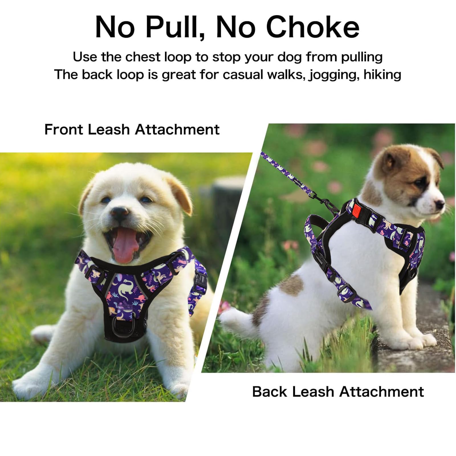 Petmolico poop bag holder dispenser keeps bags handy during outings.