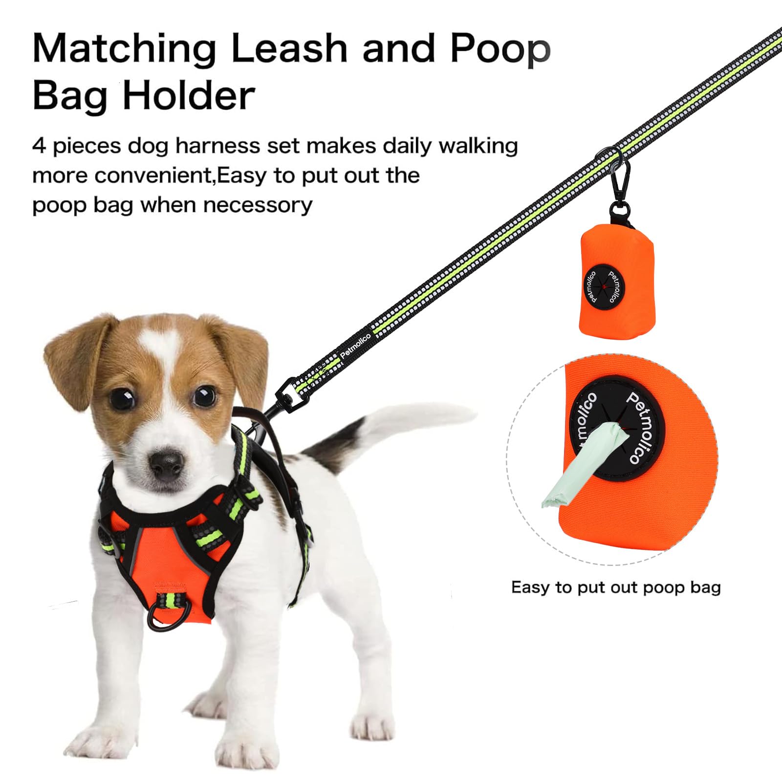 Petmolico poop-bag-holder dispenser simplifies bag access during strolls