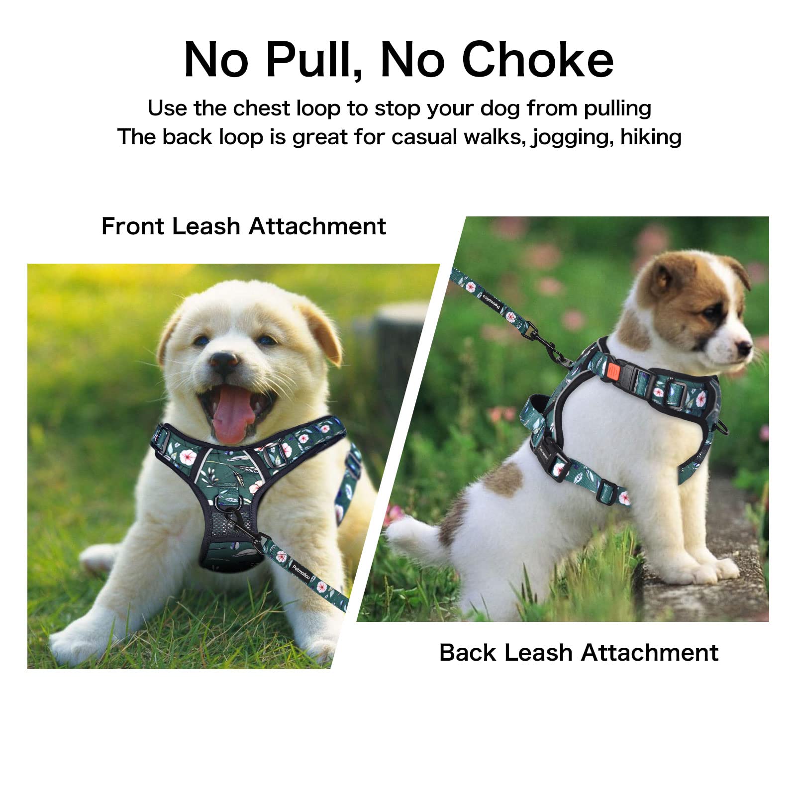 Petmolico poop bag holder attached for quick waste pickup