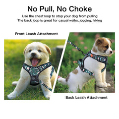 Petmolico poop bag holder attached for quick waste pickup