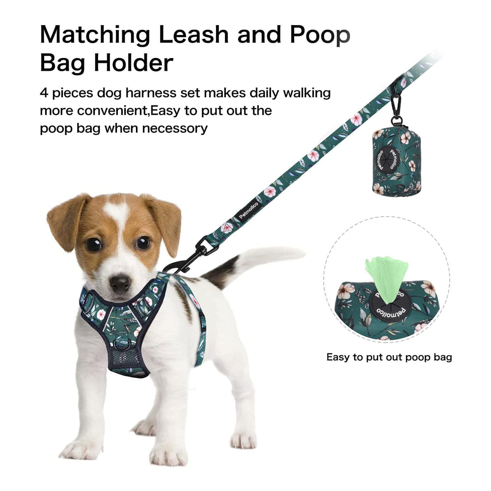 Petmolico reflective harness in green rhododendron improves night visibility
