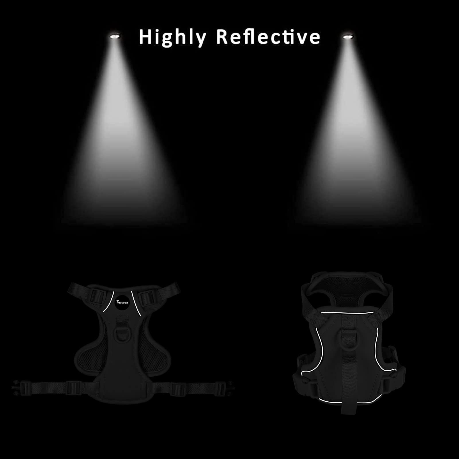 Petmolico reflective straps enhance visibility for safer evening walks