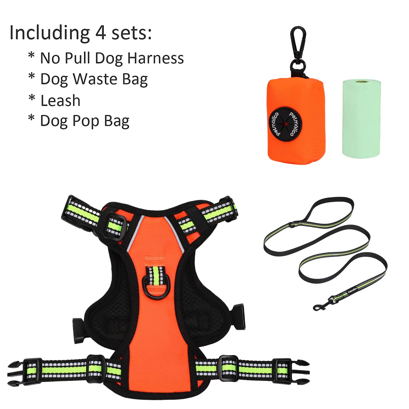 Petmolico reflective vest details enhance visibility for safer evening walks
