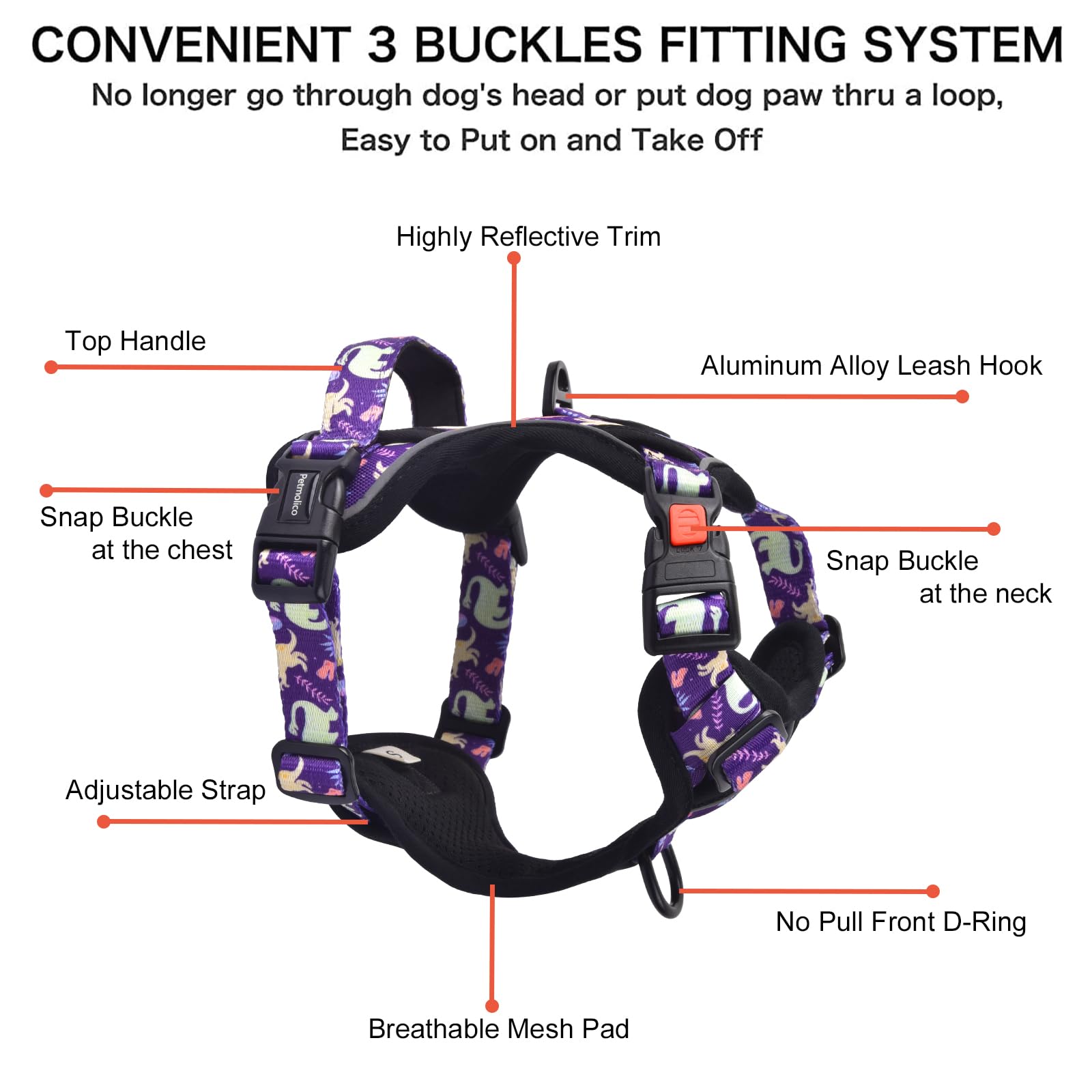 Petmolico rope leash five feet with purple dinosaur design for steady daily walks.