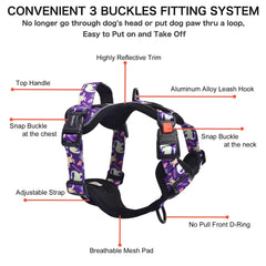 Petmolico rope leash five feet with purple dinosaur design for steady daily walks.