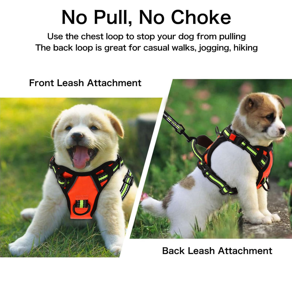 Petmolico rope-leash 5ft with neoprene handle delivers soft grip and secure walks