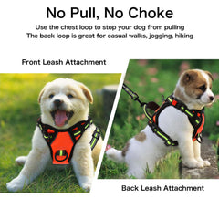 Petmolico rope-leash 5ft with neoprene handle delivers soft grip and secure walks
