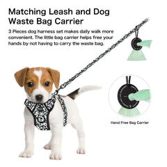 Petmolico soft neoprene padding harness keeps small dogs cozy
