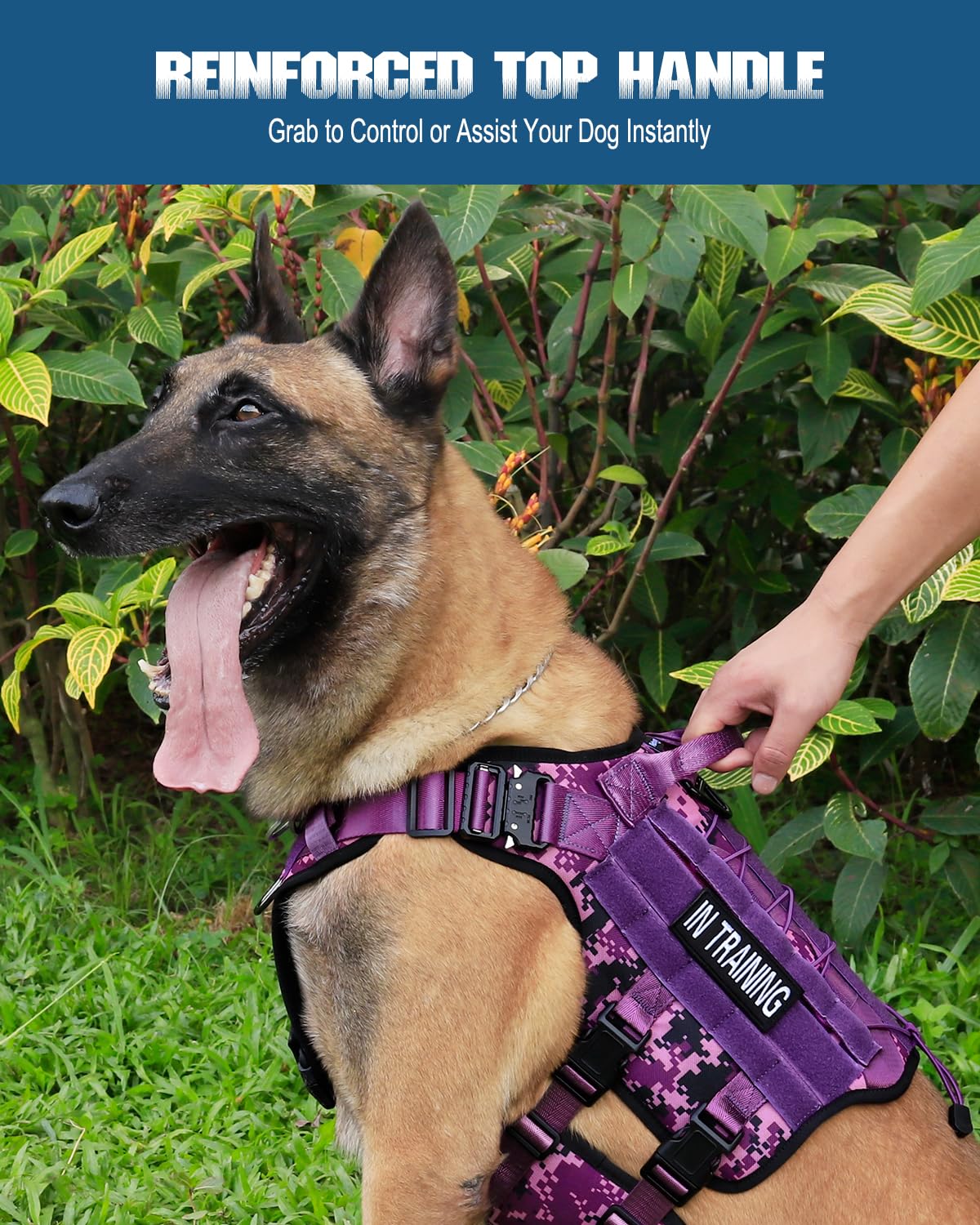 PETNANNY breathable mesh padding keeps dogs cool during walks