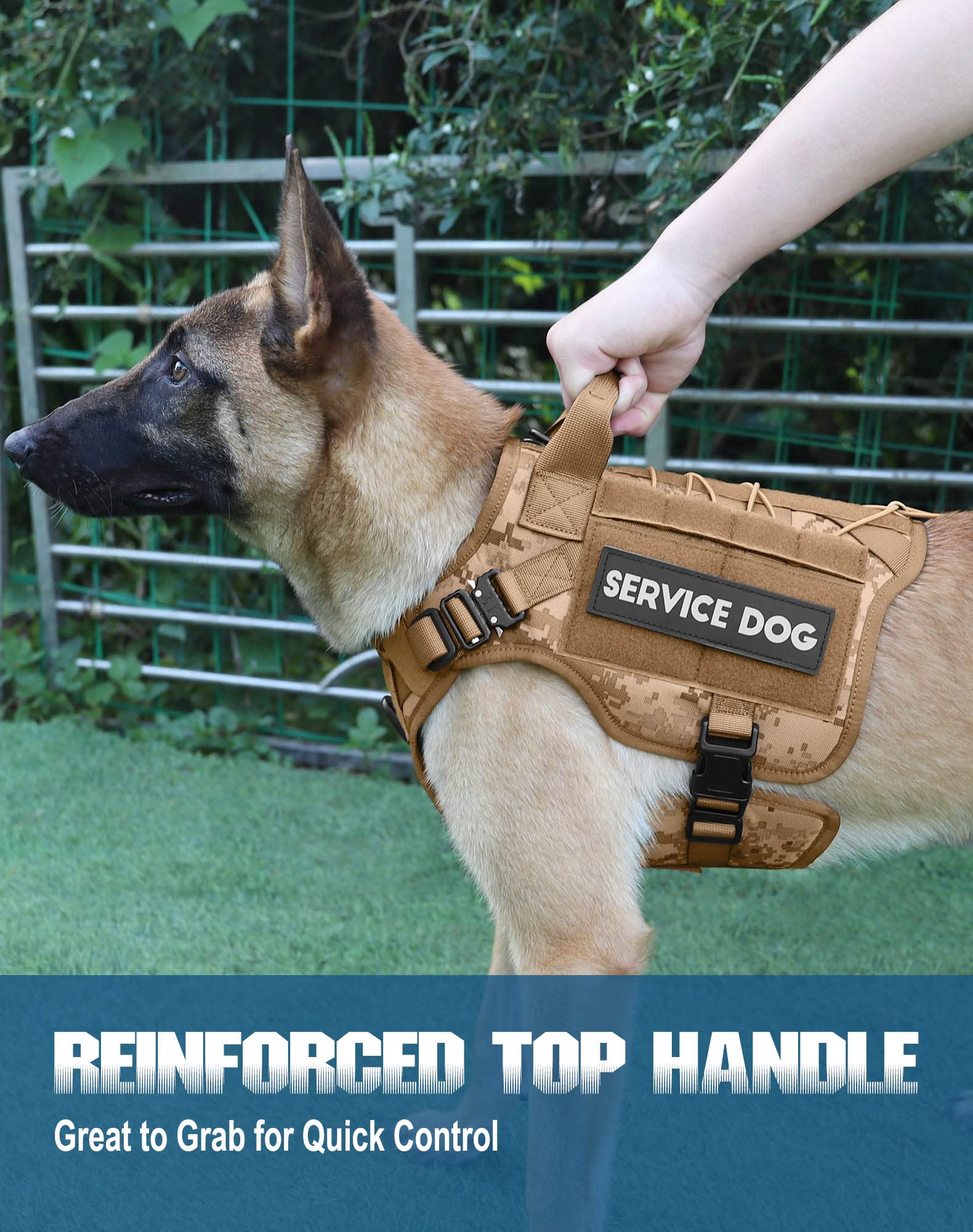 Front view of PETNANNY vest showing dual metal buckles for secure fit.