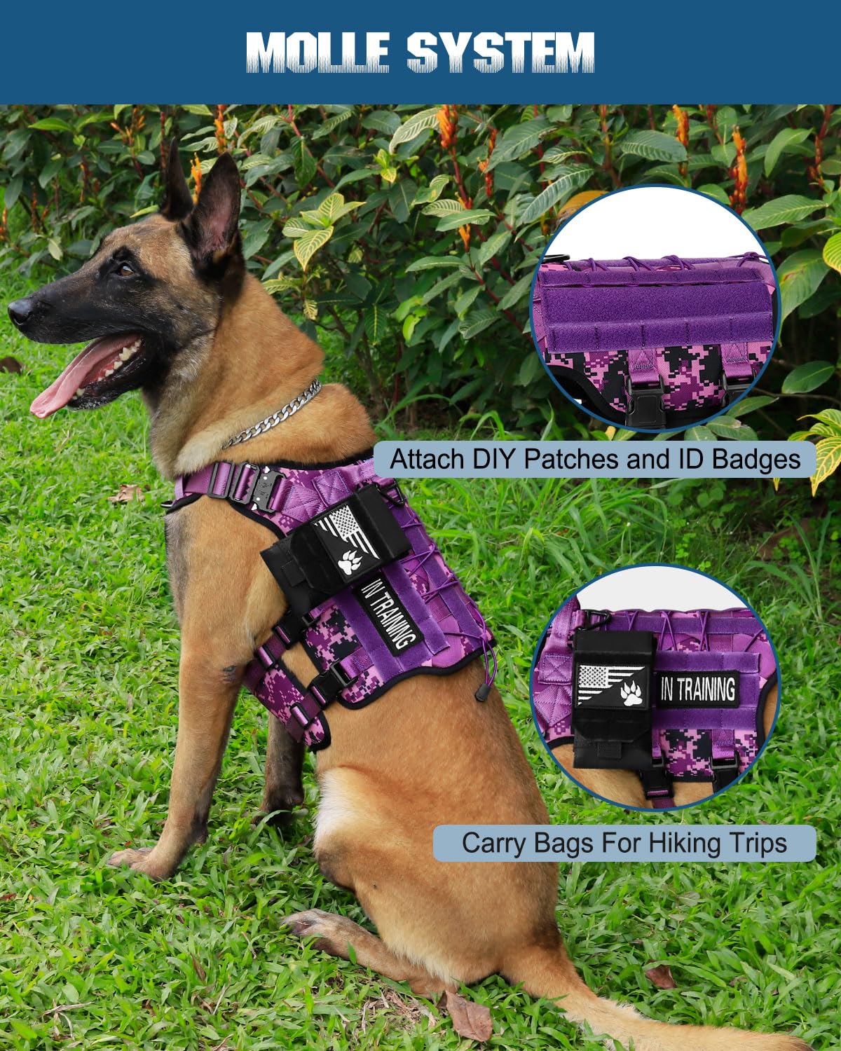 PETNANNY glow-in-the-dark patches boost nighttime visibility and training