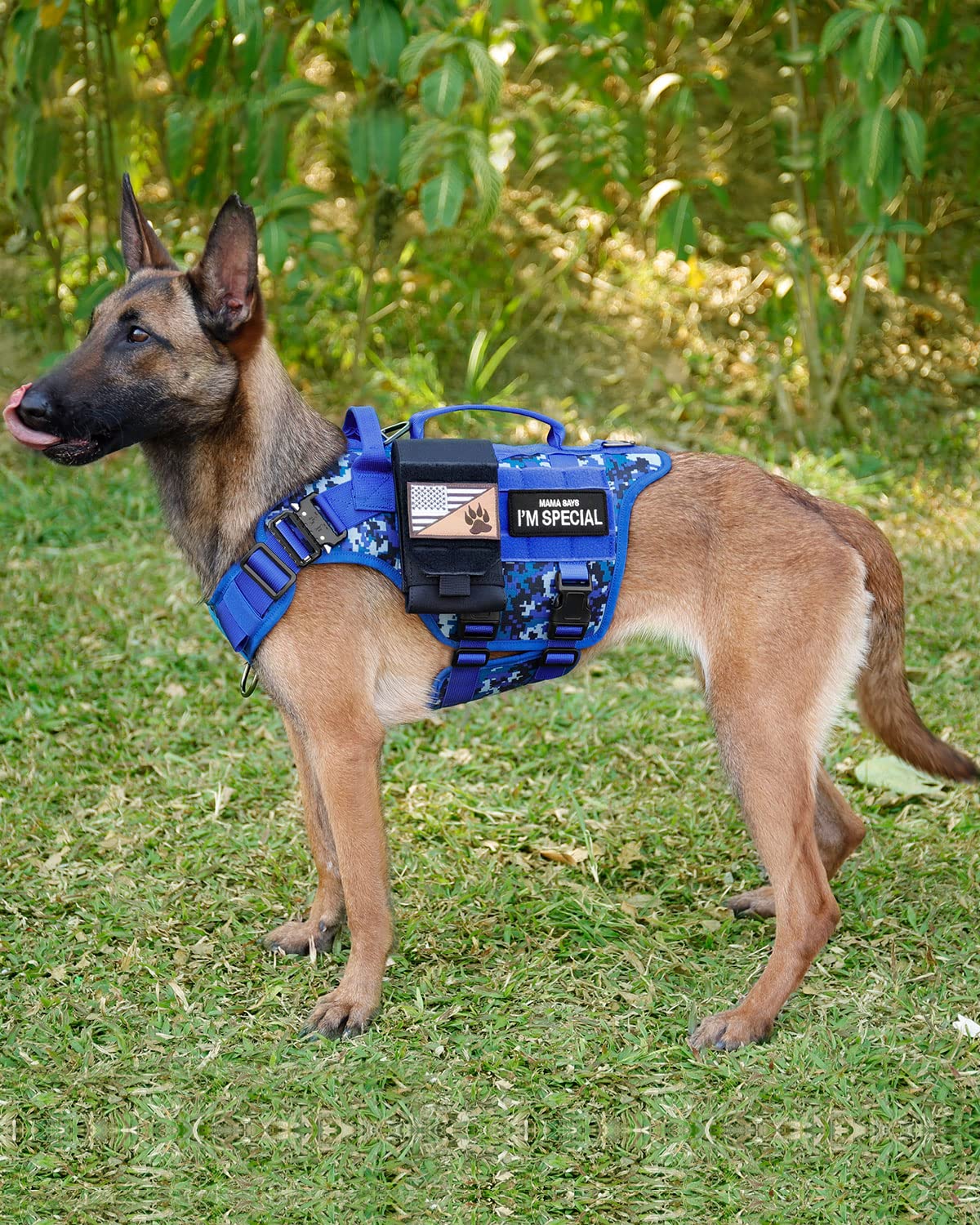PETNANNY Tactical dog harness navy blue shows durable service-grade build.