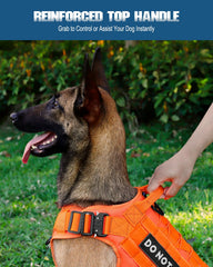PETNANNY vest highlighting breathable mesh and comfortable padding