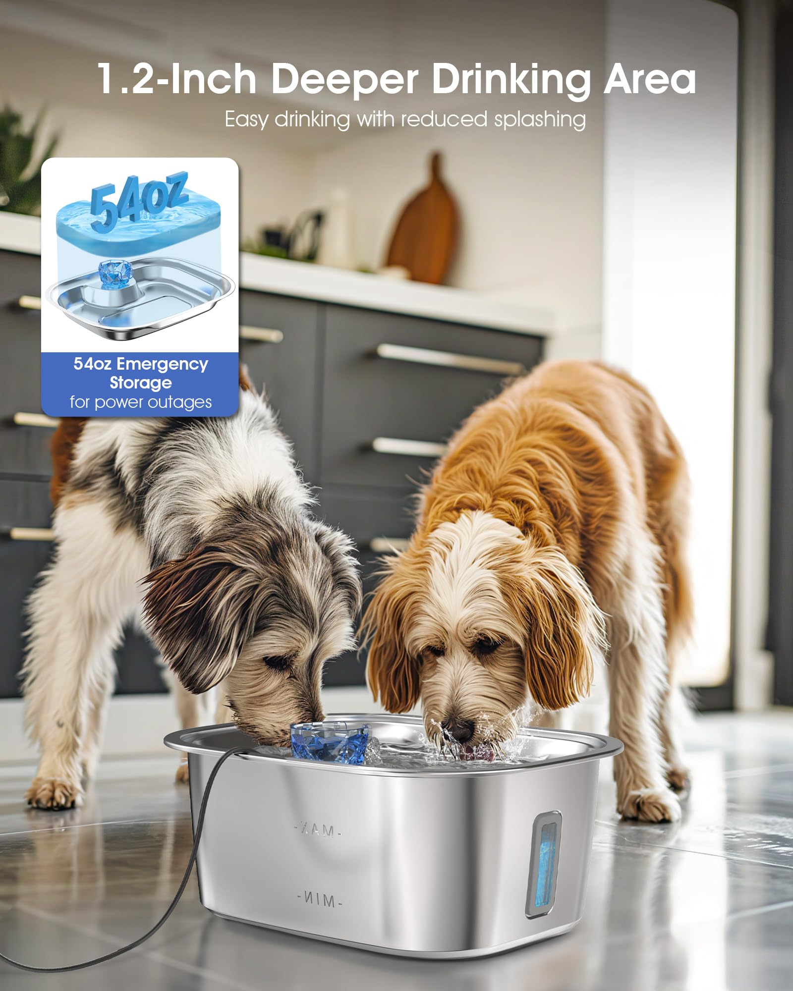 PETNF seven-inch elevated bowl promotes comfortable drinking for dogs