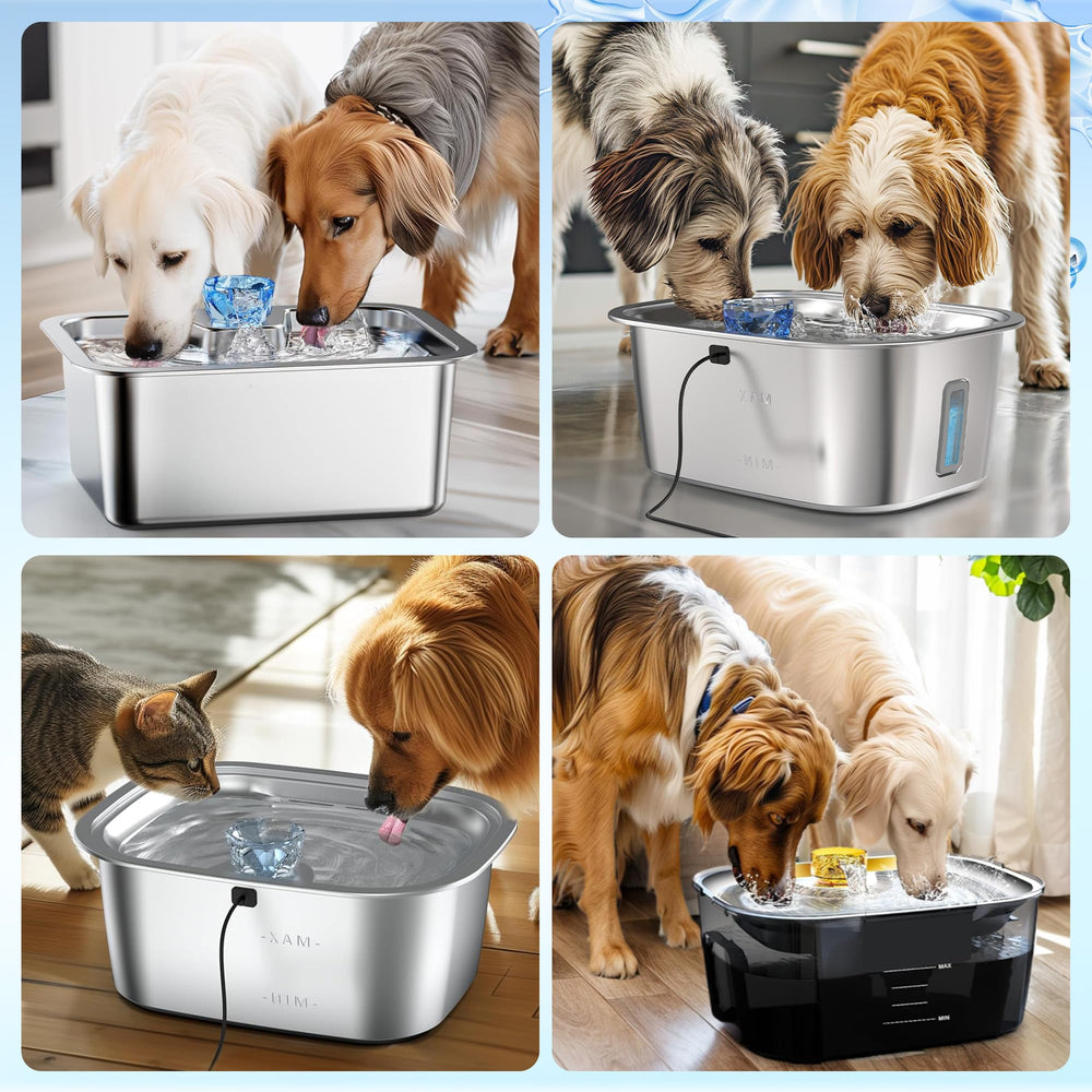 PETNF fountain water appears crisper and more inviting for dogs