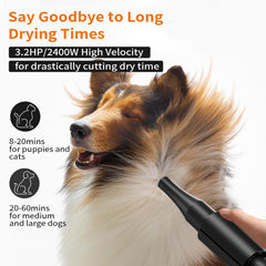 PETNF dog dryer high-powered motor accelerates root drying