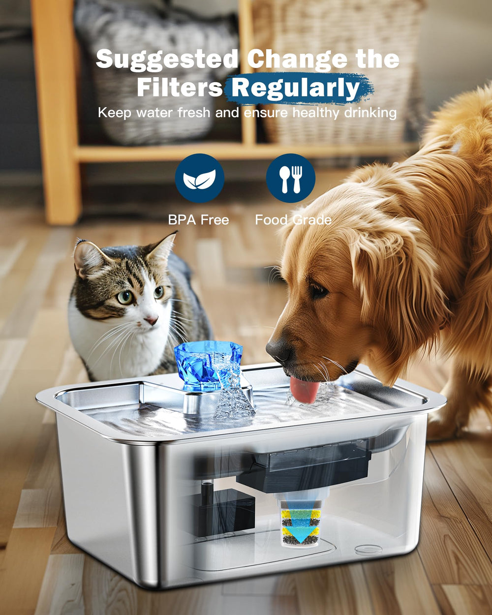 PETNF fresh clear water stream shows continuous flow for hydration.