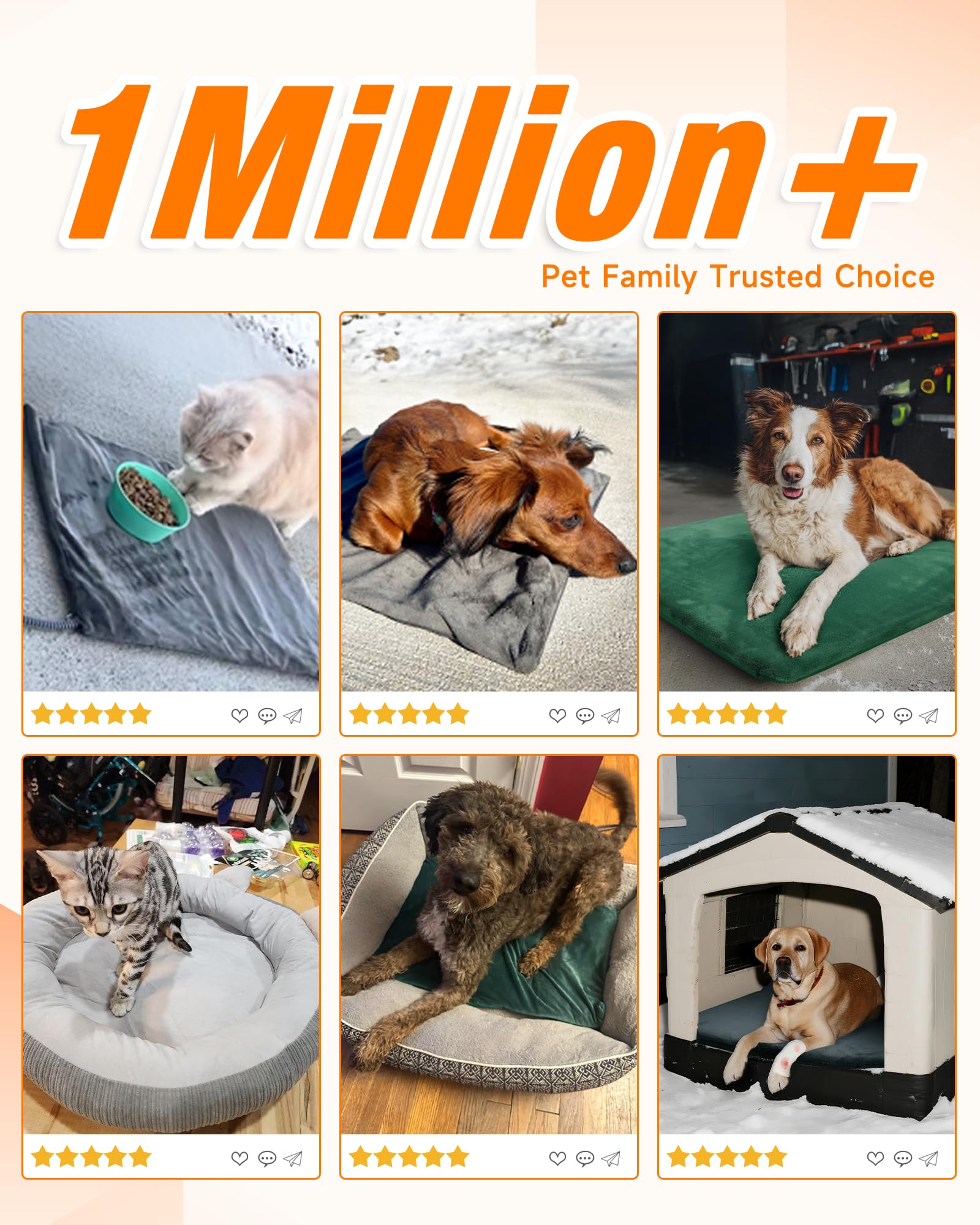 PETNF heated cat bed plush corduroy with raised edges supports comfortable lounging.