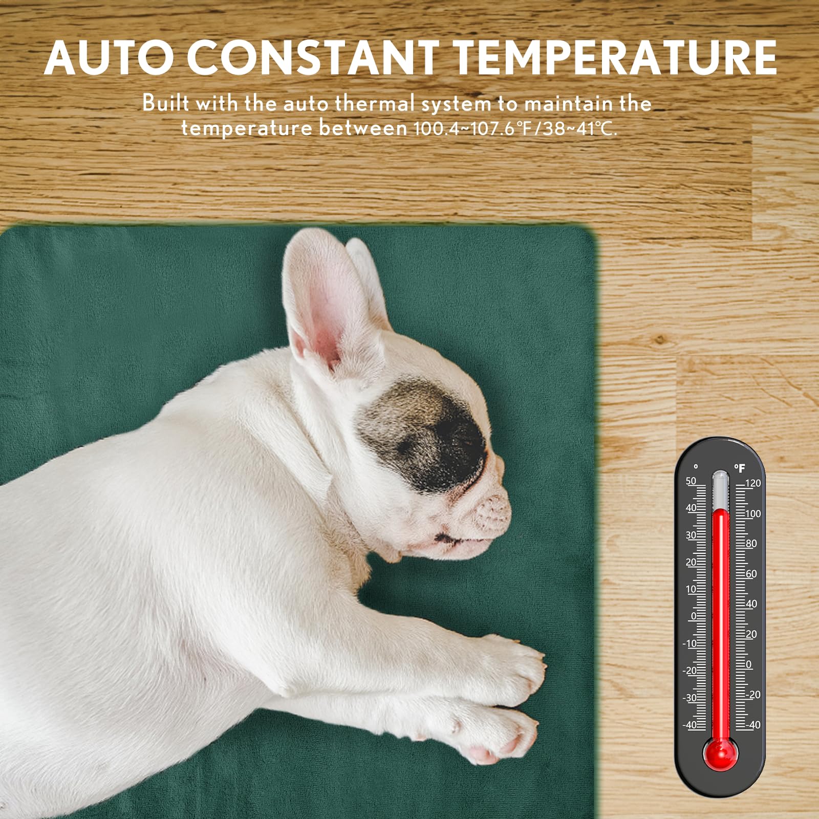 PETNF bed shown for indoor or outdoor setup with sheltered warmth