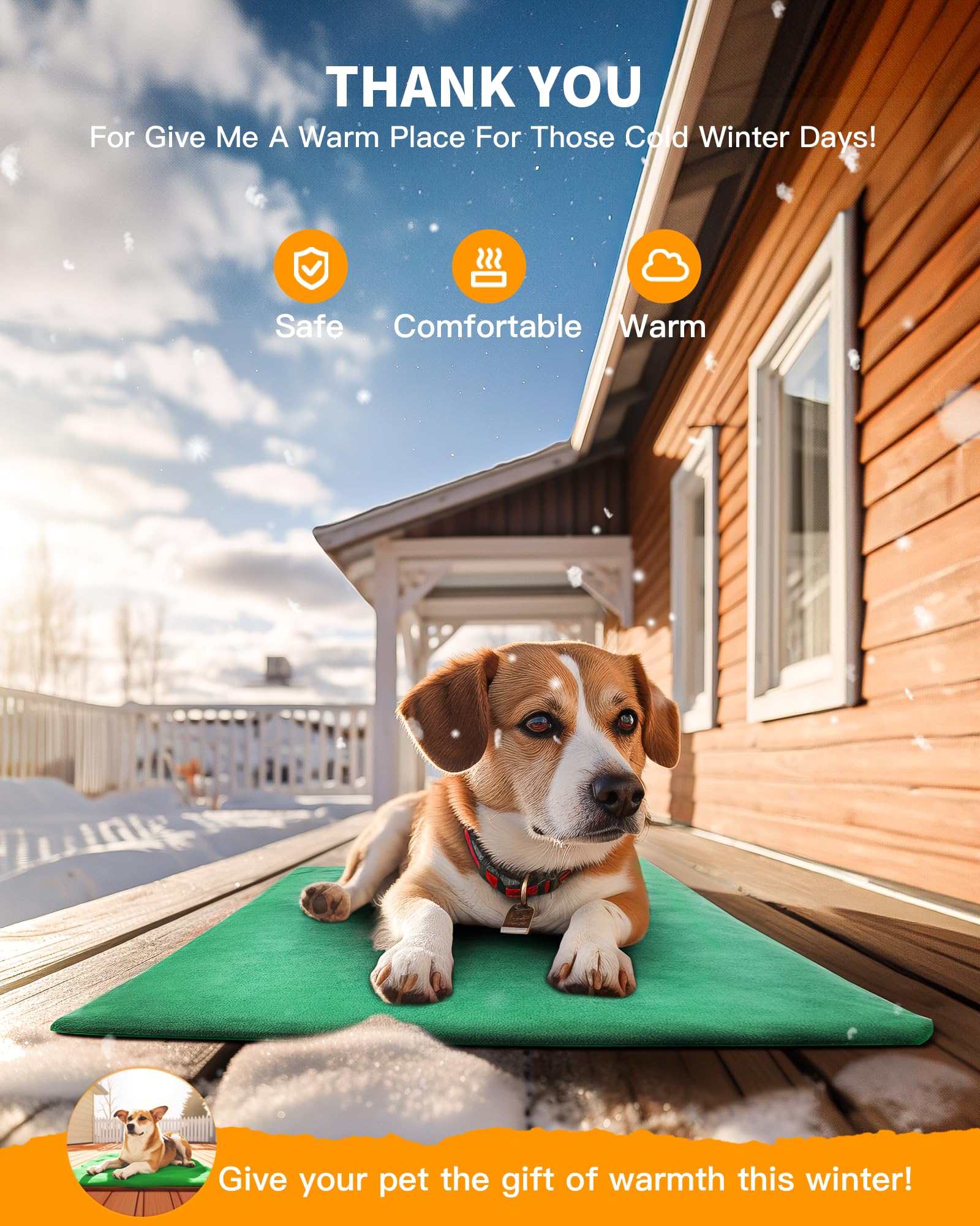 PETNF ideal for rescue cats and other small outdoor pets