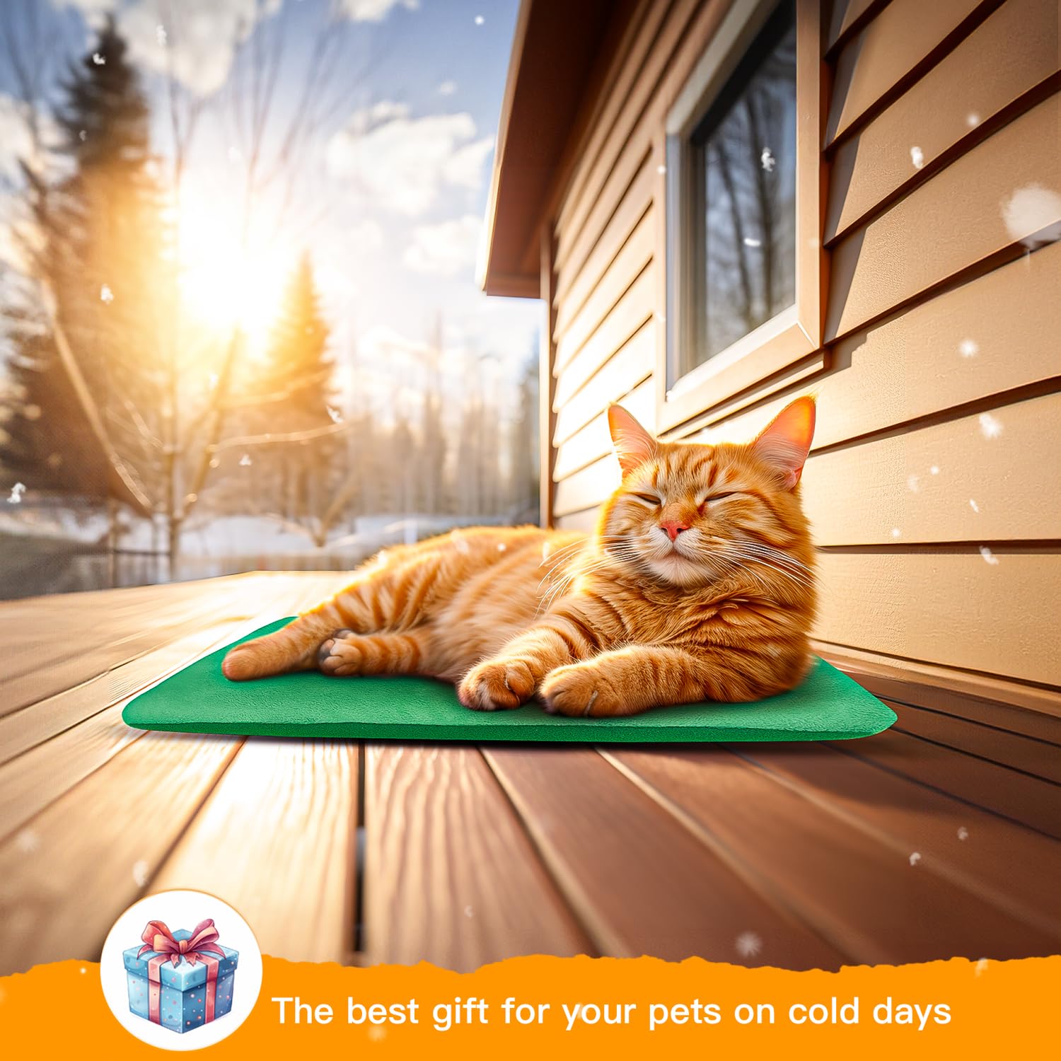 PETNF 2025 upgrade improves insulation, heating speed, and usability