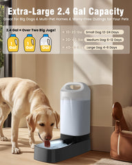 PETNF quiet gravity-fed system delivers water without noise for calm pets.