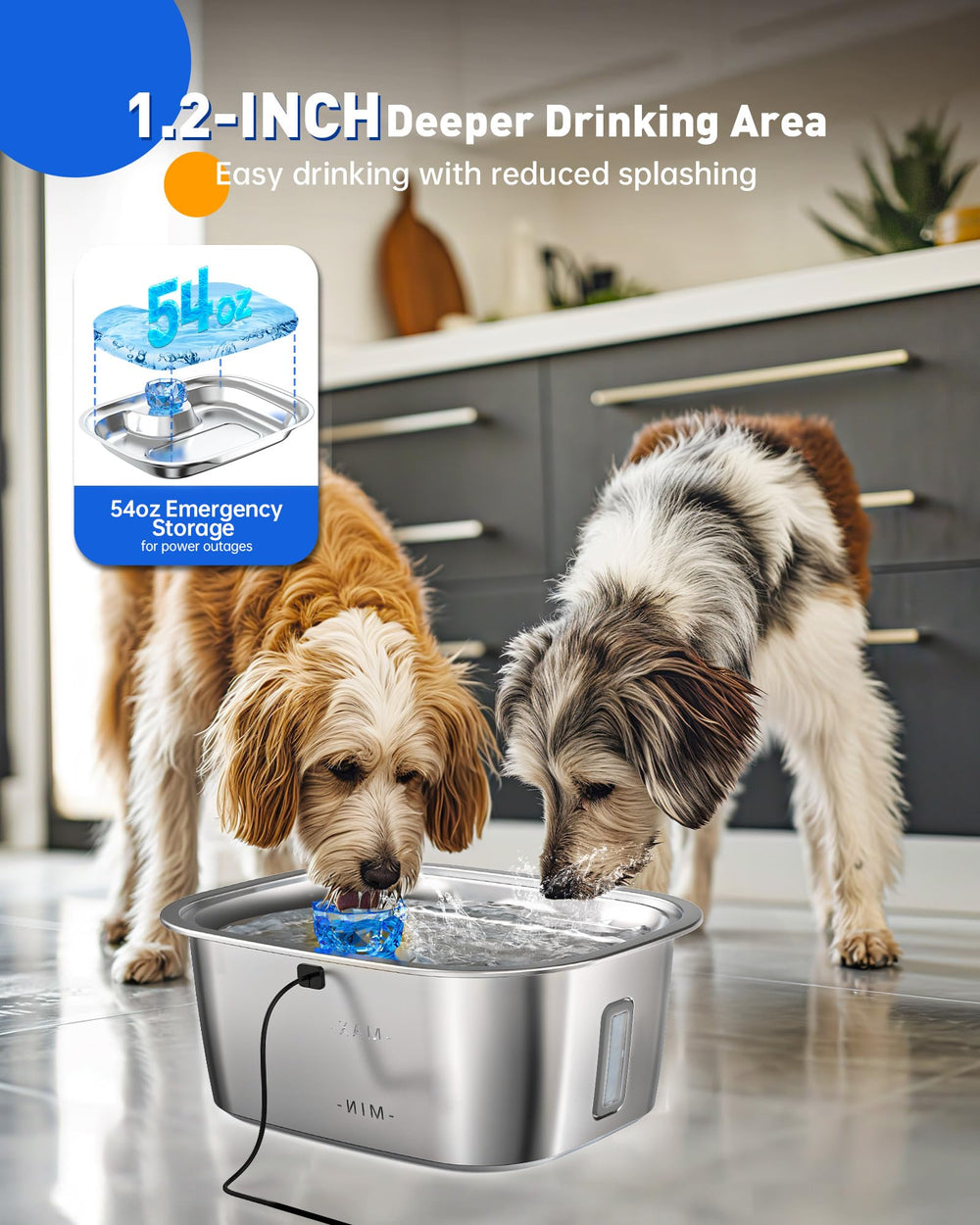 PETNF quiet pump ensures peaceful sipping for pets and owners.