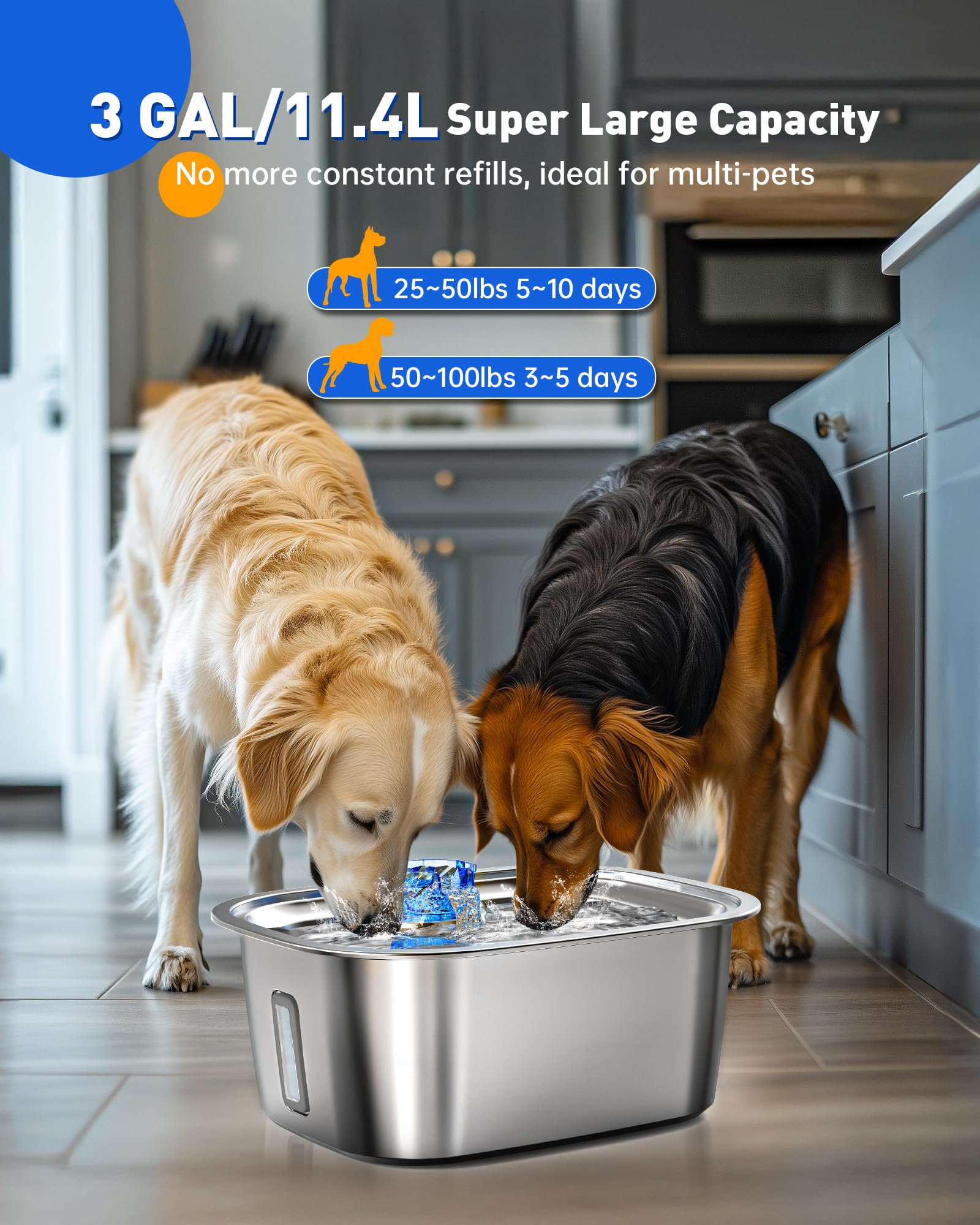 PETNF SUS304 stainless steel design offers durability and cooler, cleaner water.