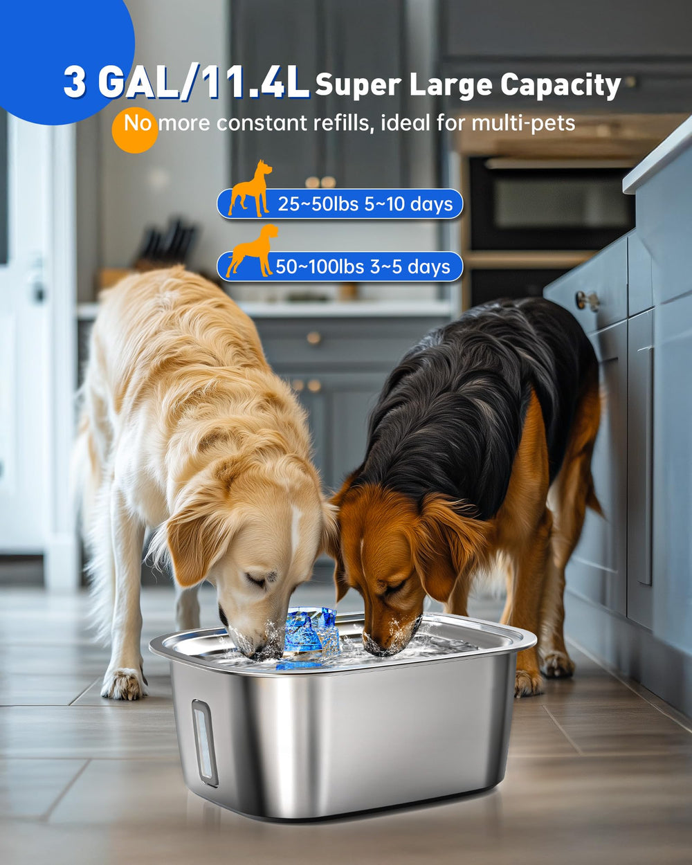 PETNF SUS304 stainless steel design offers durability and cooler, cleaner water.