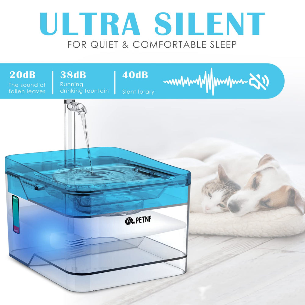 PETNF blue LED light close-up shows night-time visibility for pets