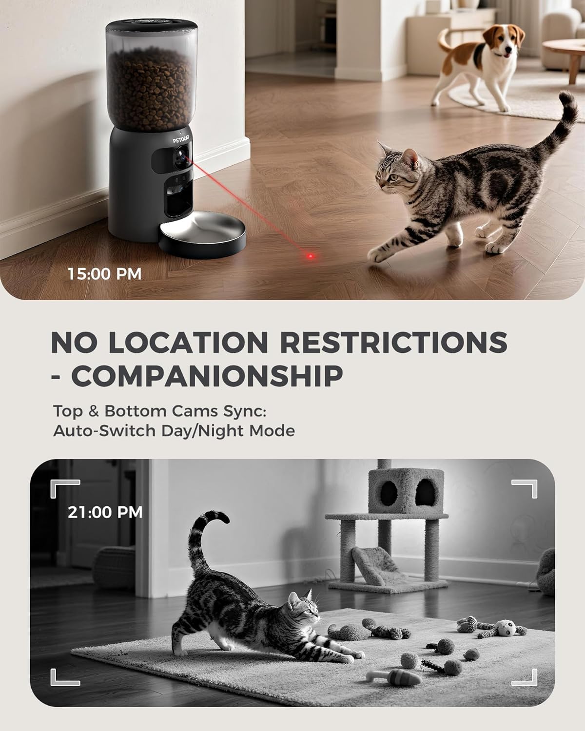 PETOCAT AI feeder backup power ensures meals during outages