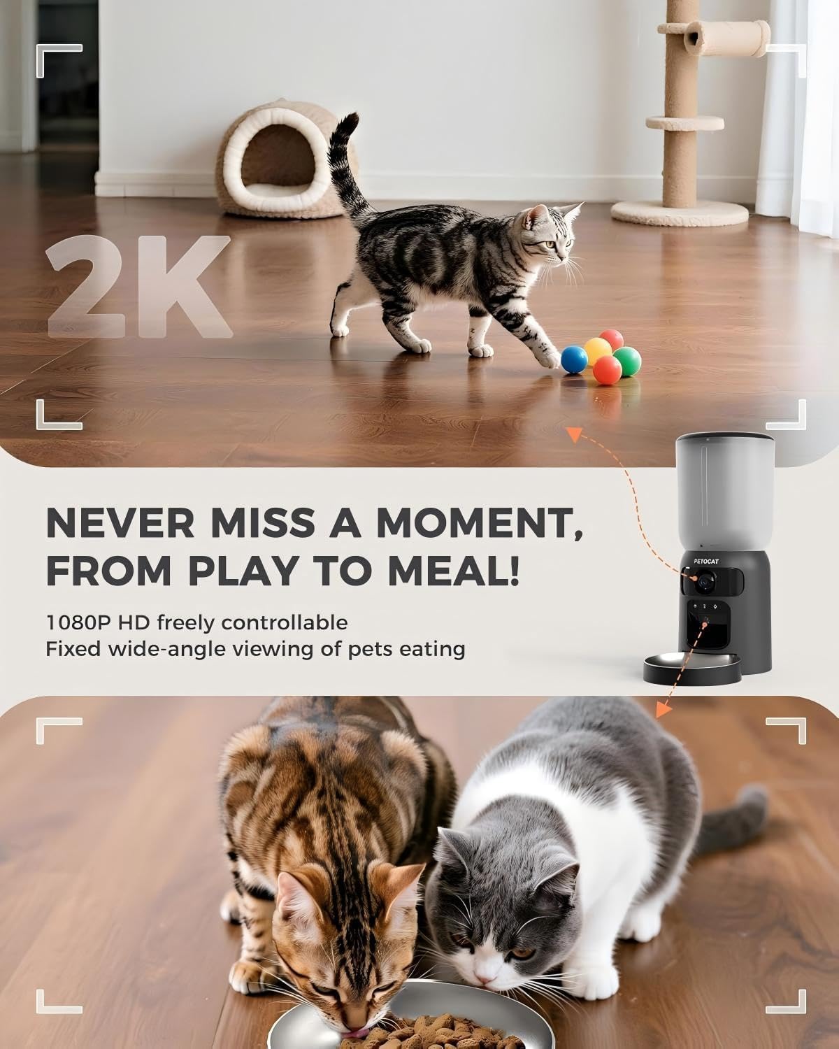 PETOCAT AI feeder dual cameras enable real time pet viewing