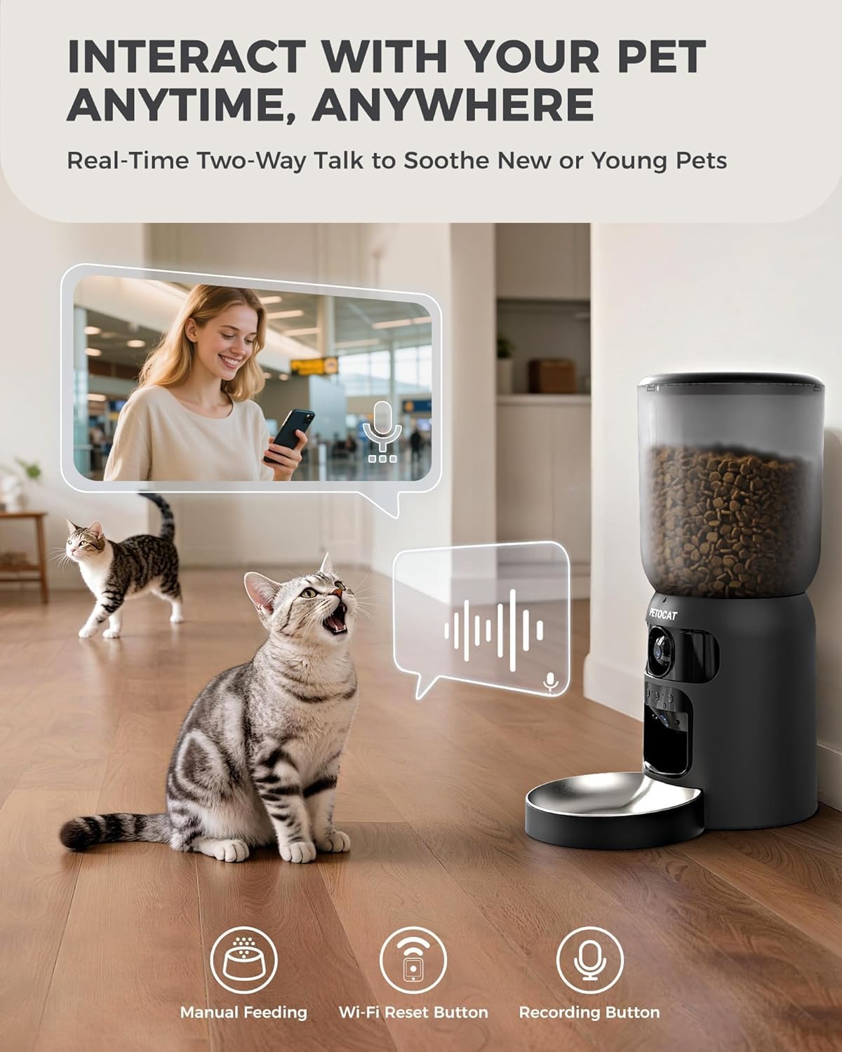 PETOCAT AI feeder laser toy adds interactive play when away