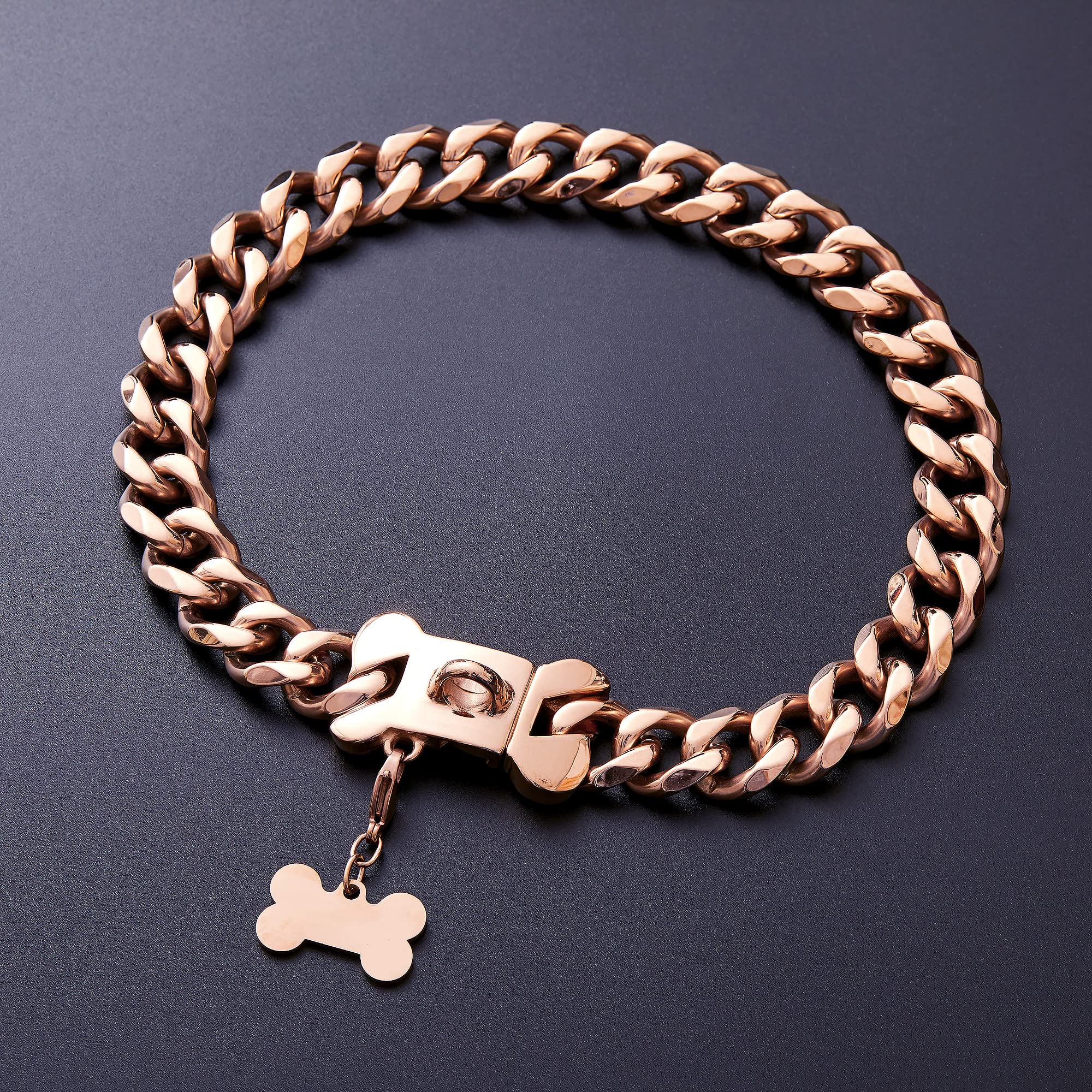 Petoo fashion-forward collar on a dog showcases eye-catching finish