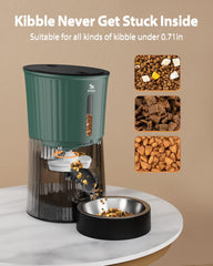 Petory Timed Feeder digital display highlights programmable schedule for six meals daily.