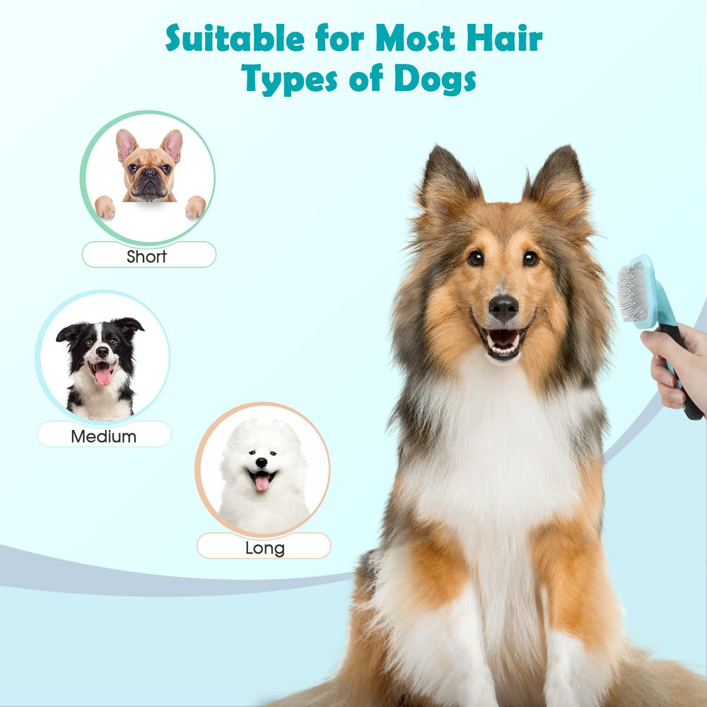 PETPAWJOY Slicker Brush minimizes dander while grooming cats and dogs