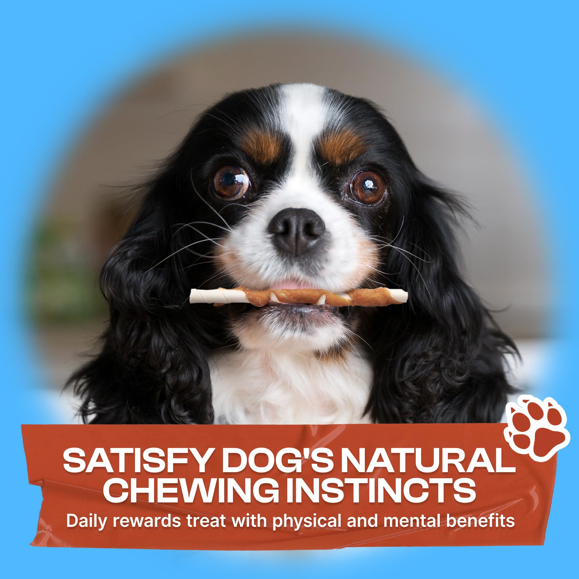 PETPHABET 30-count pack shown for daily training rewards with small dogs.