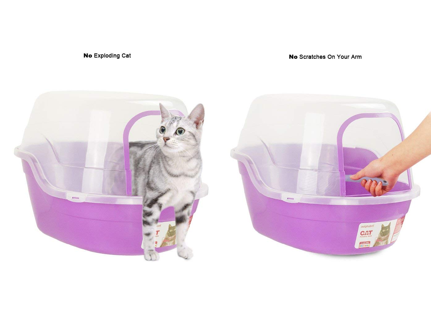 Petphabet door-opening view shows accessible entry for cats