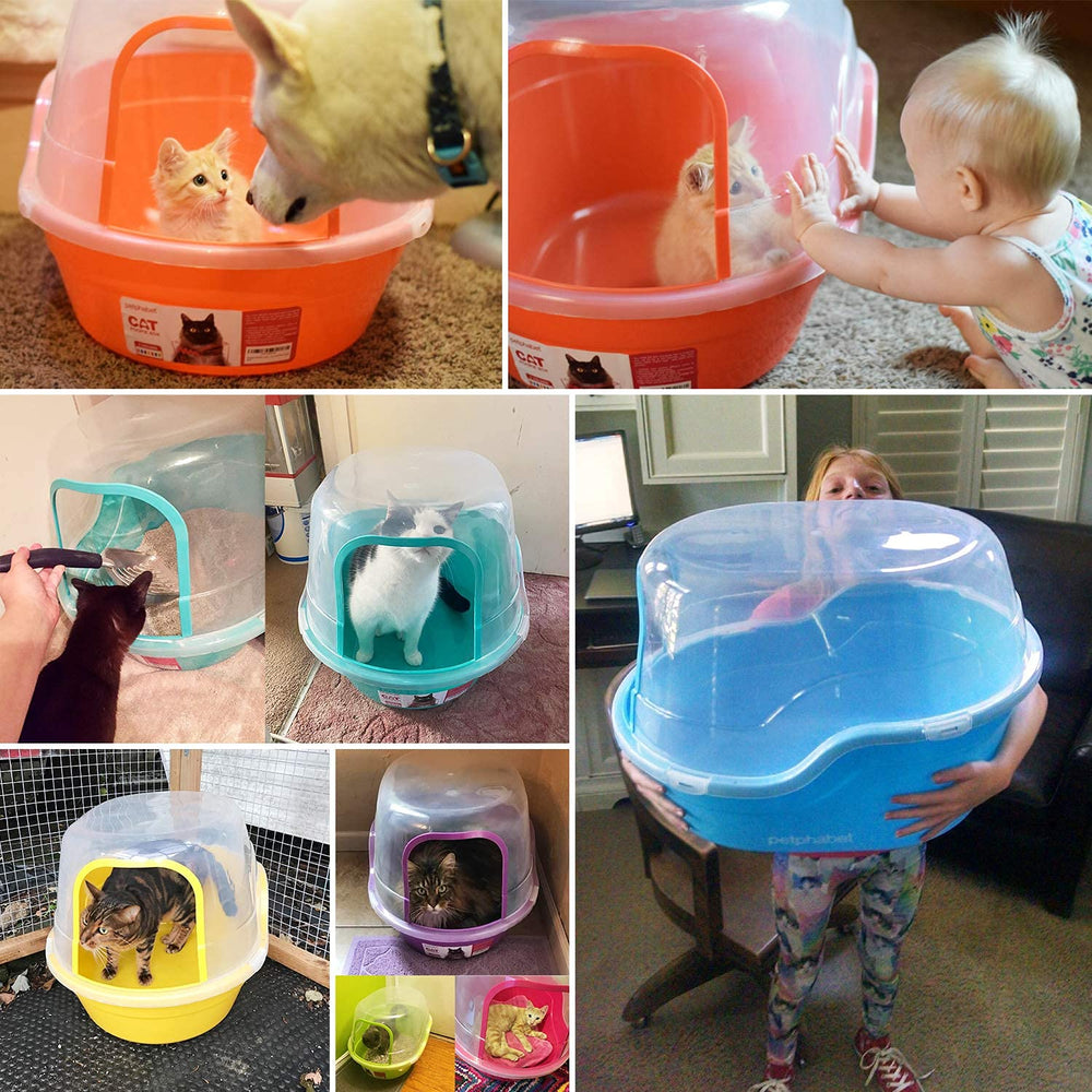 Petphabet jumbo hooded litter box studio apartment use illustrates compact footprint and privacy.