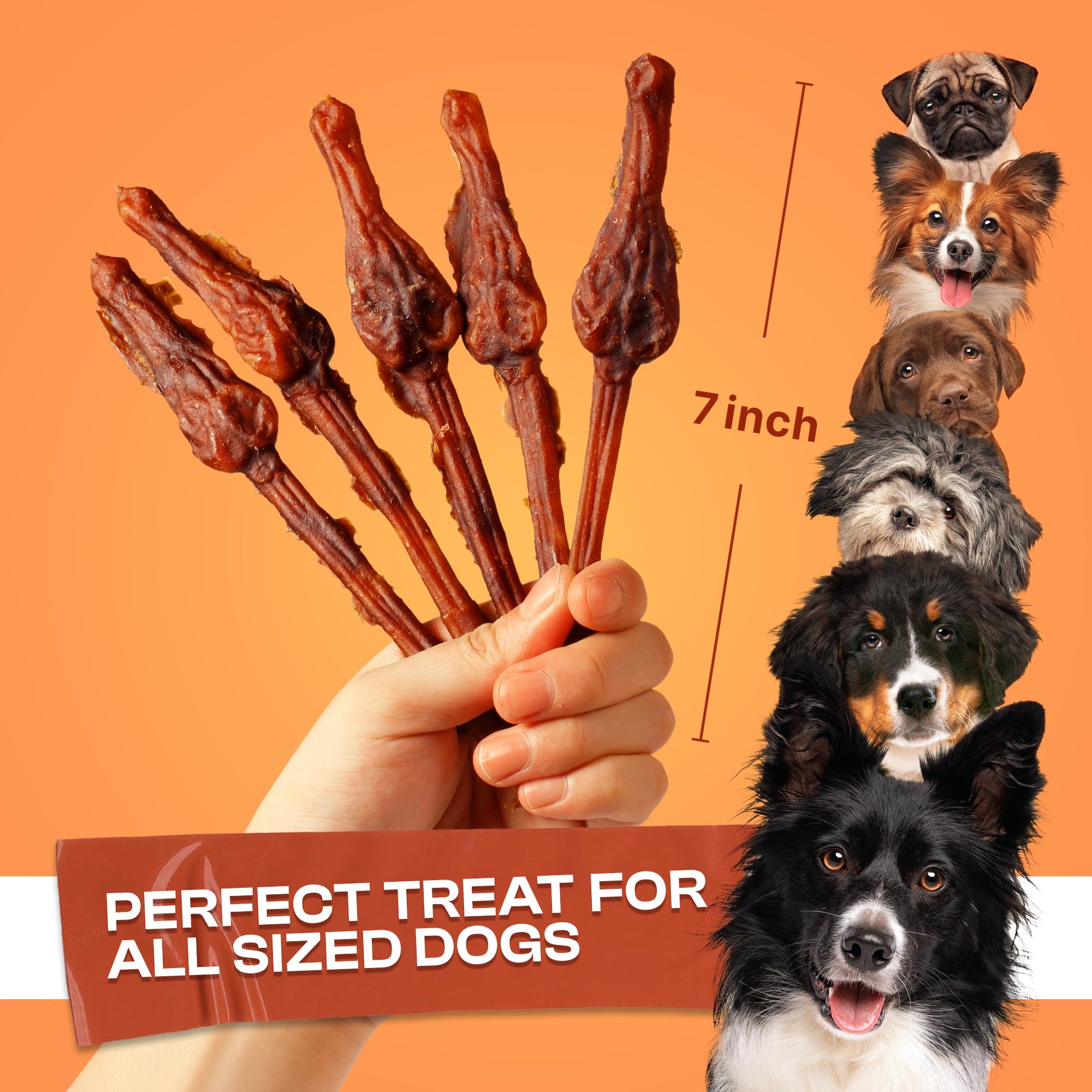 PETPHABET Low-odor dog treats showcased, ideal for quiet homes and odor-conscious pet owners