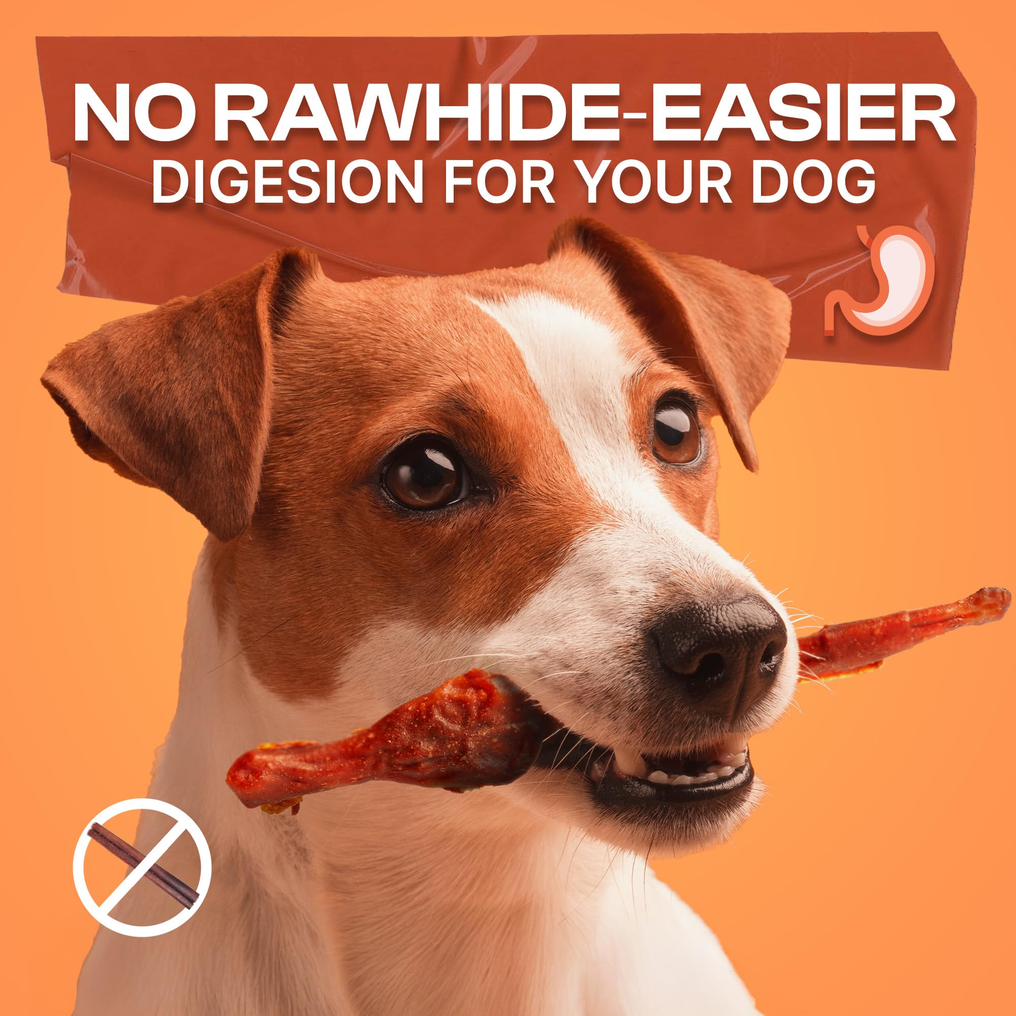 PETPHABET Training reward chews with 10-count pack for daily practice and bonding