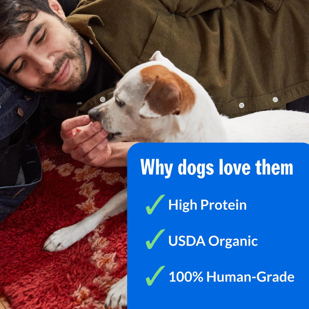 PetPlate Beef and Sweet Potato Bites training-treat close-up for tasty rewards