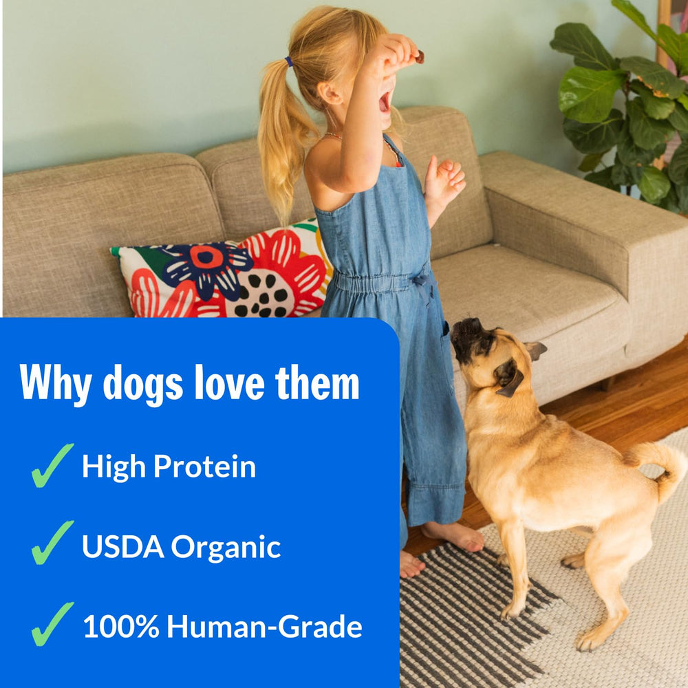 PetPlate Chicken Apple Sausage Bites closeup texture—robust chew and meaty aroma.