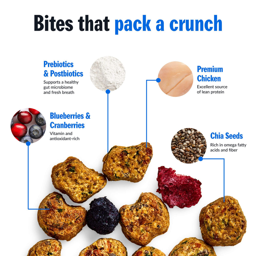 PetPlate Roost Rulin' Chicken close-up highlights prebiotics and postbiotics for digestion support.
