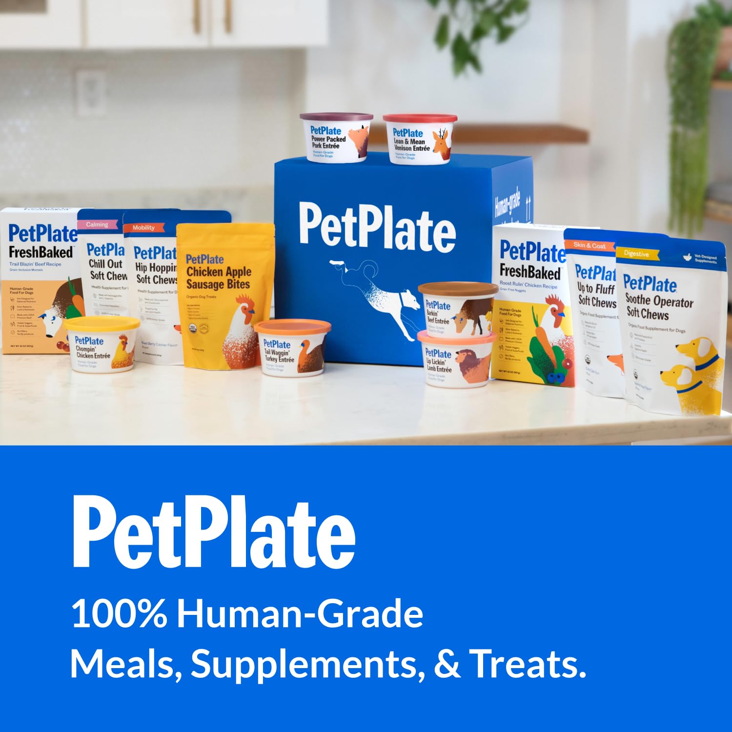 PetPlate usage quotidien chien - récompense saine et pratique.