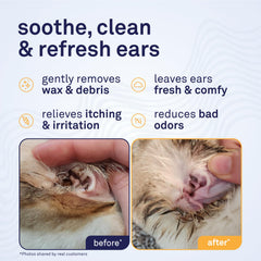 Petpost Cat Ear Cleaner nozzle enabling easy, mess-free application